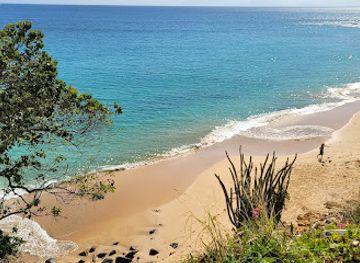 antigua-and-barbuda/bolands/landmark/268-buggies
