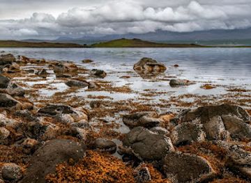 iceland/snafellsbar-area/landmark/steoji-protected-national-monument