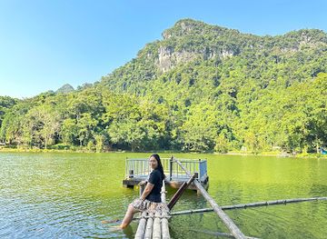 vietnam/north-central-coast/landmark/cuc-phuong-national-park