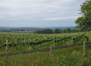 moldova/purcari-winery/landmark/combinatul-de-vinuri-cricova