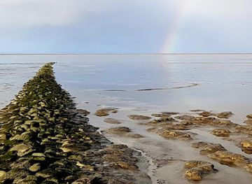 netherlands/wadden-islands/landmark/holwerd-ameland-wadden-sea