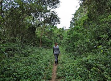 colombia/amazon/landmark/taroa-adventures