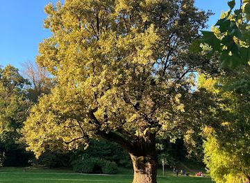 croatia/zagreb/maksimir-park/landmark/dedek