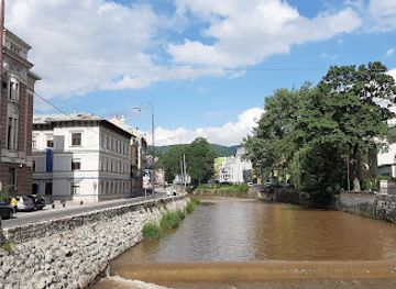 bosnia-and-herzegovina/podrinje/landmark/drvenija-most