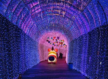 south-korea/yeongnam-region/landmark/twin-tunnel