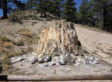 colorado/monument/landmark/florissant-fossil-beds-national-monument