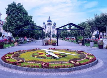romania/mures/landmark/the-flower-clock