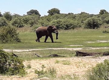 namibia/etosha-national-park/landmark/bwabwata-national-park