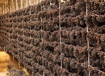 armenia/areni-wine-region/landmark/365-wines