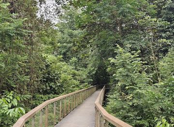 singapore/macritchie-reservoir/landmark/squirrel-trail