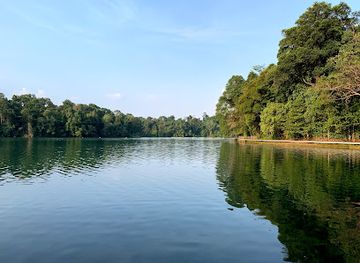 singapore/labrador-nature-reserve/landmark/central-catchment-nature-reserve