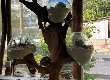 new-caledonia/lifou/landmark/wanalai