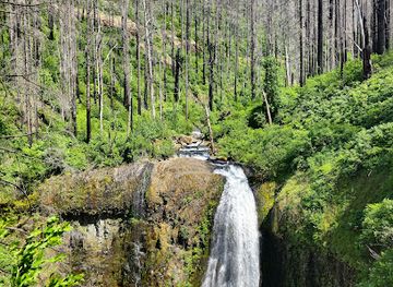 oregon/columbia-river-gorge/landmark/wahclella-falls-trail