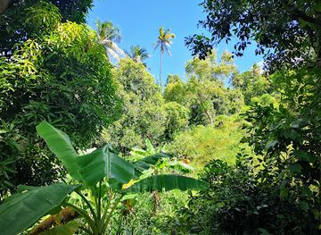 comoros/bambao-mtrouni/landmark/comoro-islands
