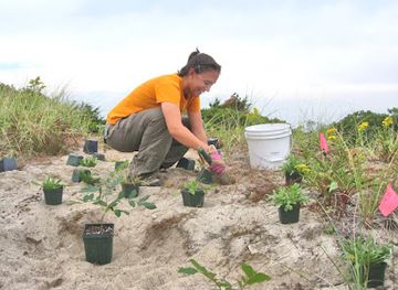 rhode-island/south-county/landmark/rhode-island-natural-history-survey