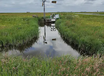 Sluiswaai