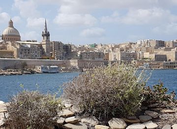 malta/western-region/landmark/saint-john-s-cathedral-museum