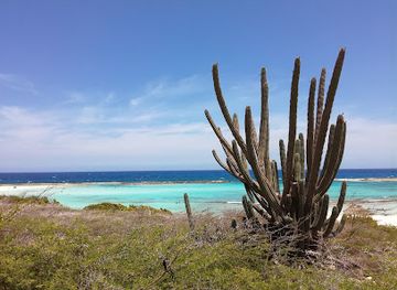 aruba/palm-beach/landmark/baby-beach
