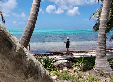 belize/southern-belize/landmark/half-moon-caye