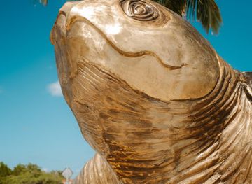 aruba/paradera/landmark/amsterdam-manor-roundabout