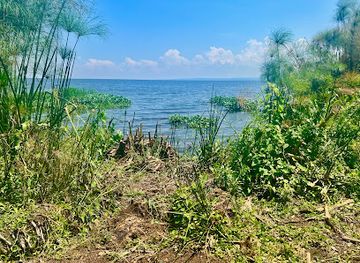 kenya/nyanza-region/landmark/kws-kisumu-impala-sanctuary