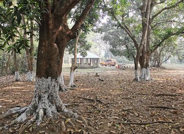 sierra-leone/port-loko/landmark/outamba-kilimi-national-park-entrance