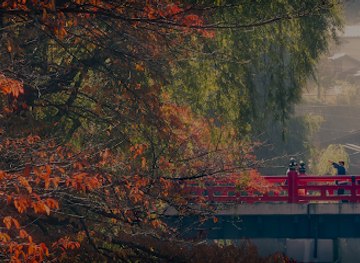 japan/owari/landmark/a-different-side-of-japan
