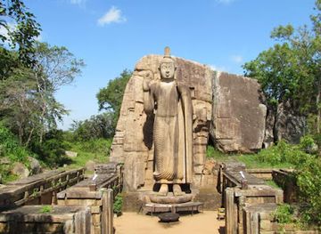 sri-lanka/kurunegala-district/landmark/avukana-buddha-statue