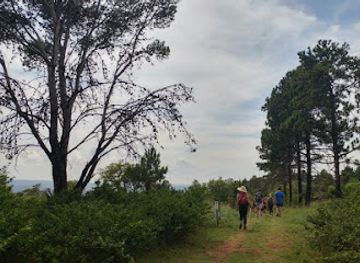 south-africa/pretoria/silver-lakes/landmark/hedianga-farm