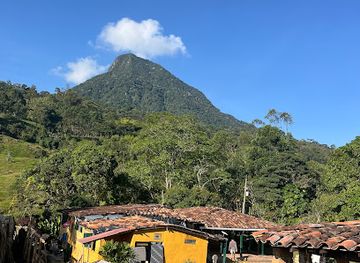 colombia/amazon/landmark/lawayra-ayahuasca-retreat