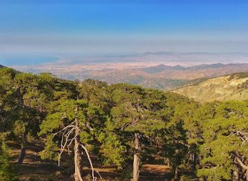 cyprus/troodos-national-forest-park/landmark/troodos-forest