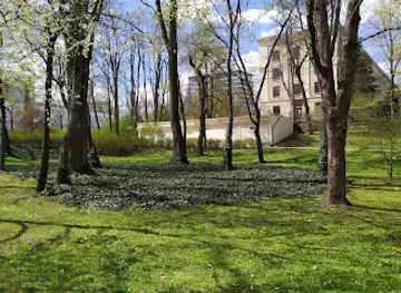 Stół i Wół
