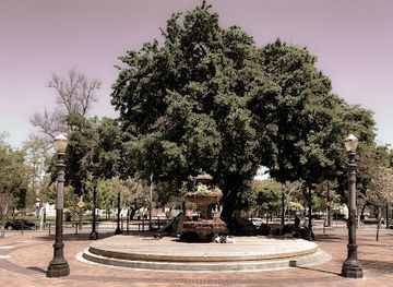 california/silicon-valley/landmark/st-james-park-san-jose-history-walk-marker-23