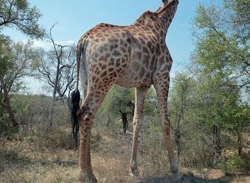 south-africa/highveld/landmark/mpumalanga-tourism-parks-agency