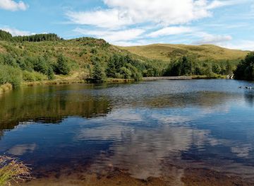 united-kingdom/cardiganshire/landmark/bwlch-nant-yr-arian-forest-visitor-centre