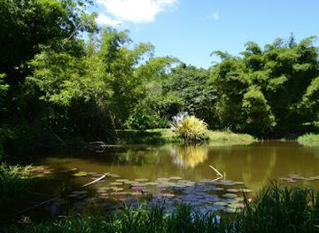 trinidad-and-tobago/couva-tabaquite-talparo/landmark/wa-samaki-ecosystems