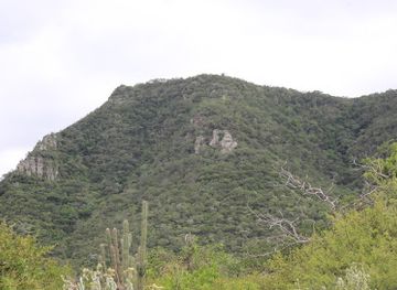 bolivia/lake-titicaca/landmark/parque-nacional-del-gran-chaco-kaa-iya