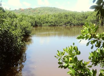 puerto-rico/caribbean-national-forest/landmark/reserva-natural-cabezas-de-san-juan-para-la-naturaleza