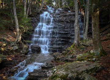pennsylvania/susquehanna-valley/landmark/buttermilk-falls-at-bear-creek-preserve