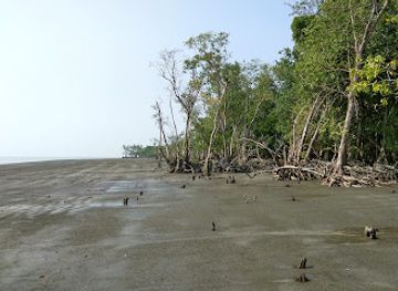 bangladesh/kuakata/landmark/fatrar-char