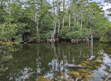 florida/big-cypress-national-preserve/landmark/big-cypress-national-preserve-loop-unit
