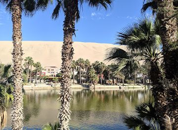 peru/ica/landmark/wild-olive-trattoria-guest-house