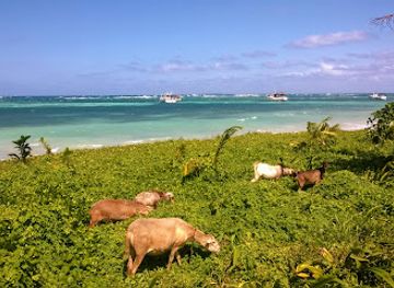 nicaragua/corn-islands/landmark/seaside-grill