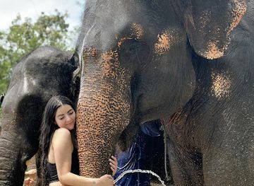 thailand/phuket-province/landmark/phuket-elephant-care-kathu