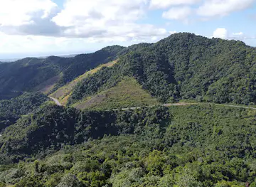 Palito de Ponce