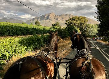 south-africa/cape-winelands/landmark/wine-valley-adventures
