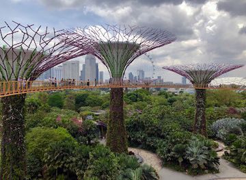 singapore/singapore/landmark/gardens-by-the-bay