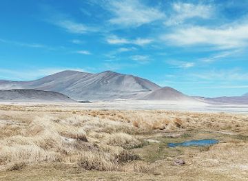 chile/san-pedro-de-atacama/landmark/lagunas-escondidas-de-baltinache