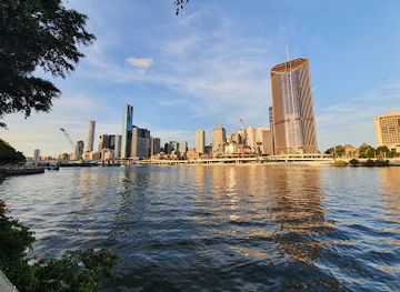 australia/brisbane/landmark/fairy-trees-brisbane