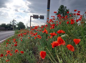 romania/olt/landmark/strada-oltului